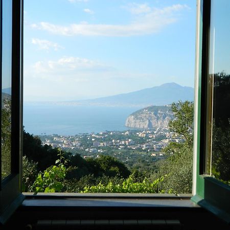 Gli Ulivi Agriturismo Sant'Agnello Eksteriør bilde