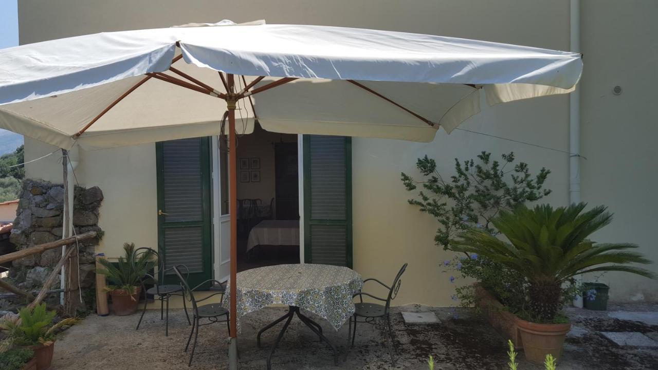 Gli Ulivi Agriturismo Sant'Agnello Eksteriør bilde