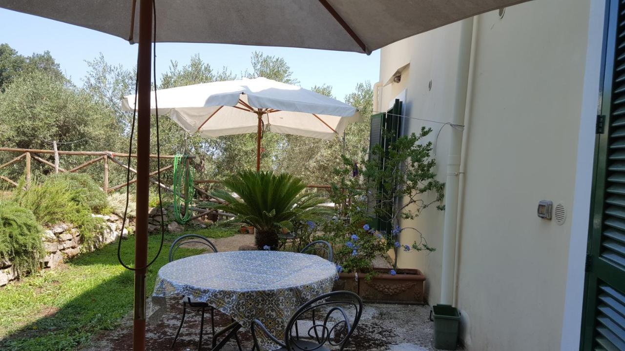 Gli Ulivi Agriturismo Sant'Agnello Eksteriør bilde