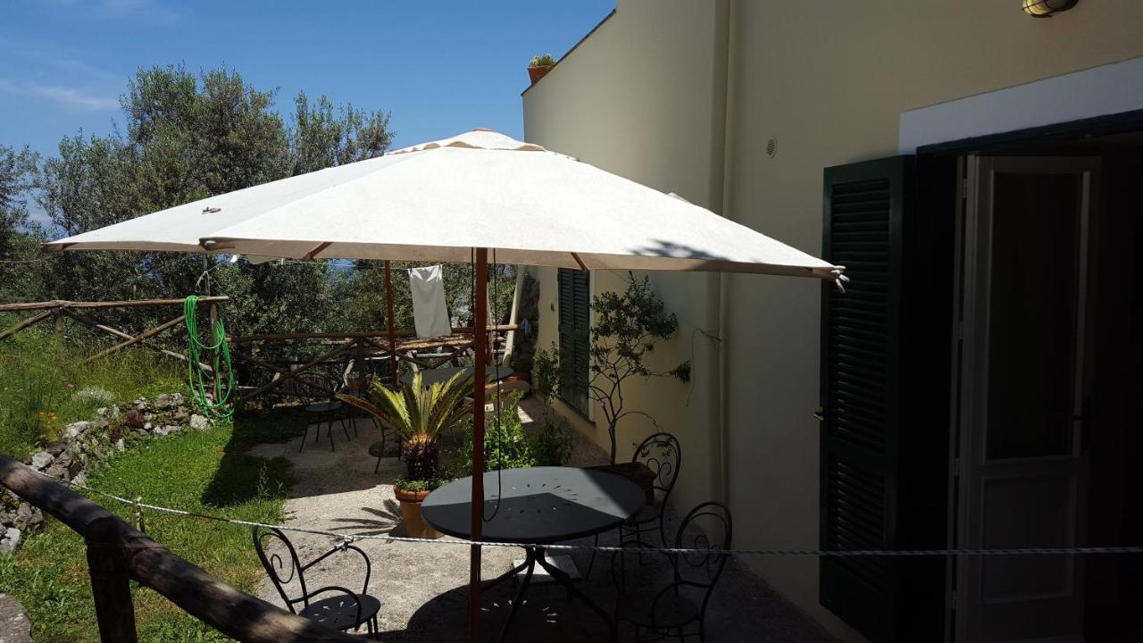Gli Ulivi Agriturismo Sant'Agnello Eksteriør bilde