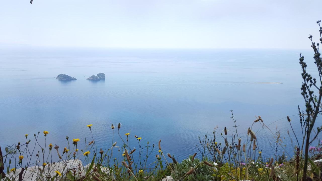 Gli Ulivi Agriturismo Sant'Agnello Eksteriør bilde