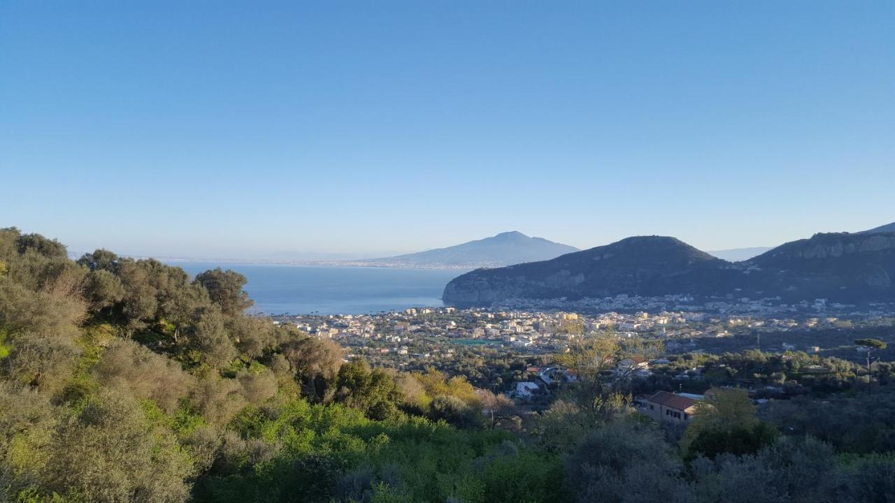 Gli Ulivi Agriturismo Sant'Agnello Eksteriør bilde