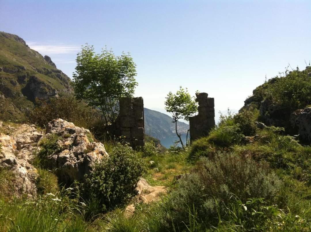 Gli Ulivi Agriturismo Sant'Agnello Eksteriør bilde