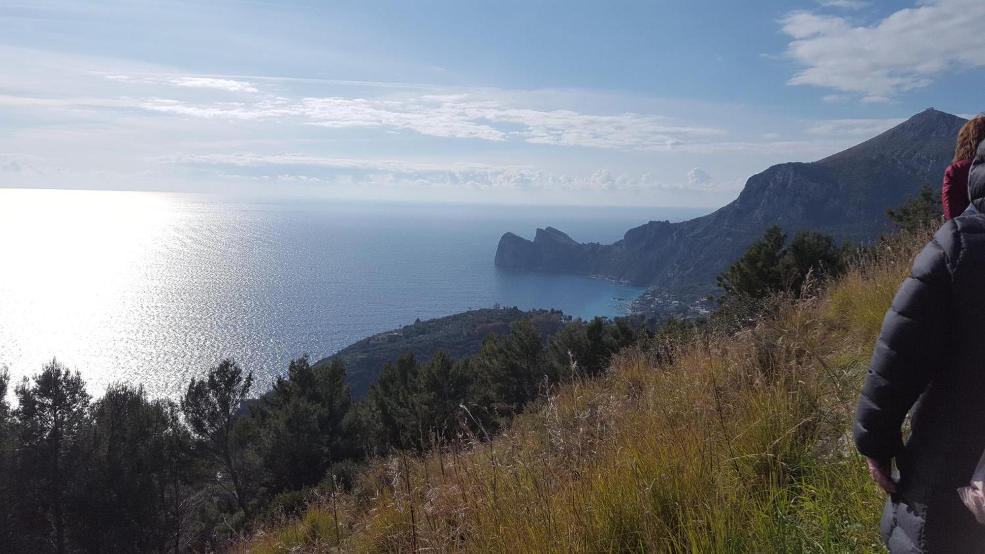 Gli Ulivi Agriturismo Sant'Agnello Eksteriør bilde