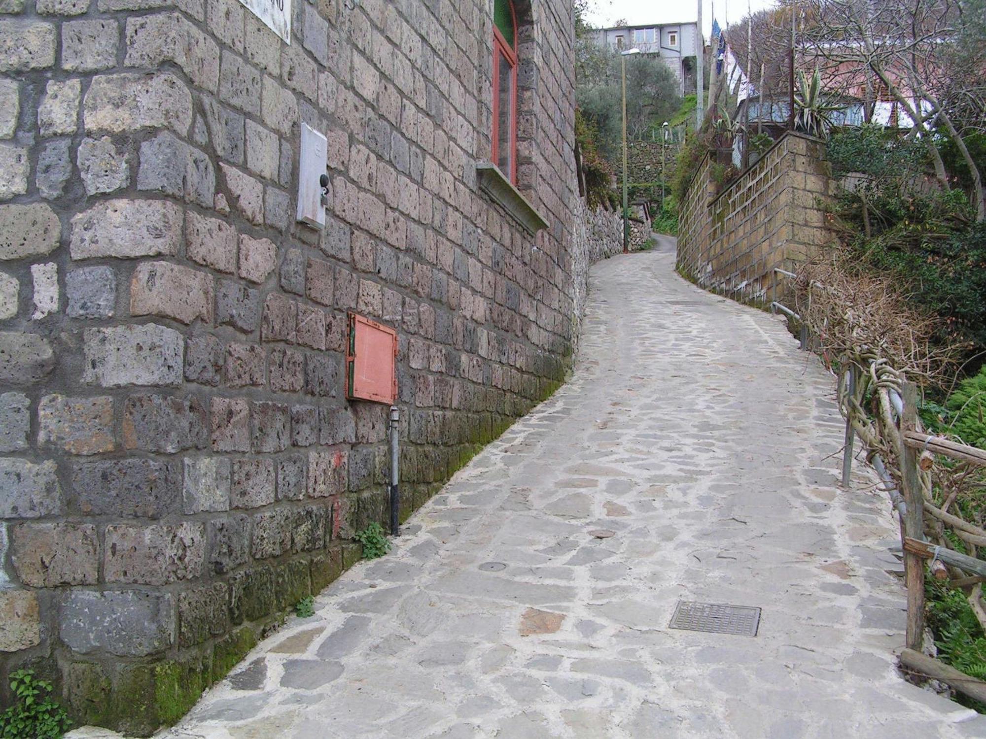 Gli Ulivi Agriturismo Sant'Agnello Eksteriør bilde