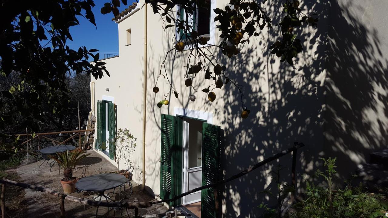 Gli Ulivi Agriturismo Sant'Agnello Eksteriør bilde