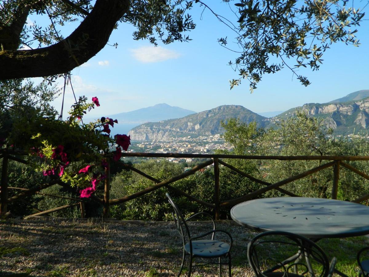 Gli Ulivi Agriturismo Sant'Agnello Eksteriør bilde