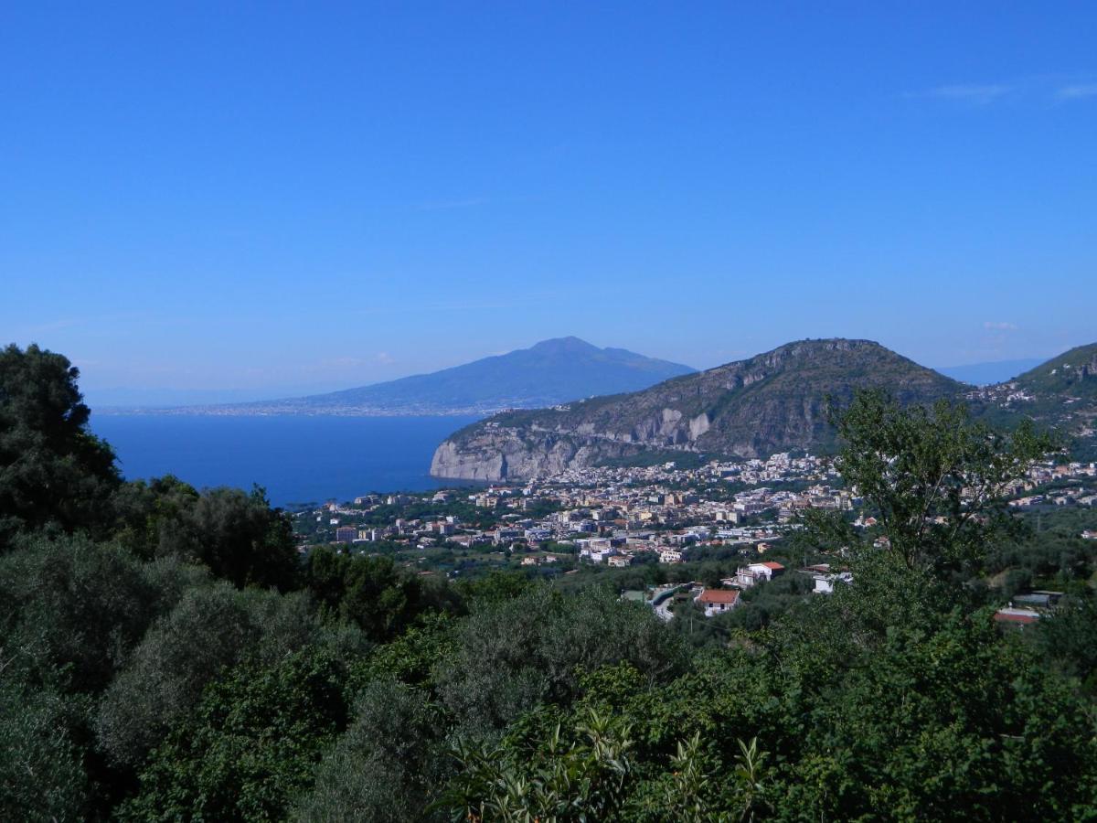 Gli Ulivi Agriturismo Sant'Agnello Eksteriør bilde